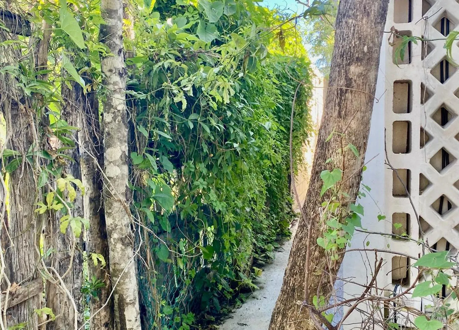 Сasa de vacaciones Villa Casa Kuma Tulum México